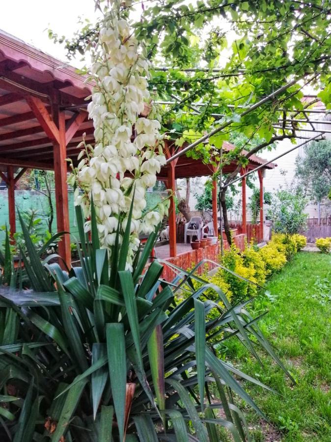 Kiliç Motel İstanbul Dış mekan fotoğraf